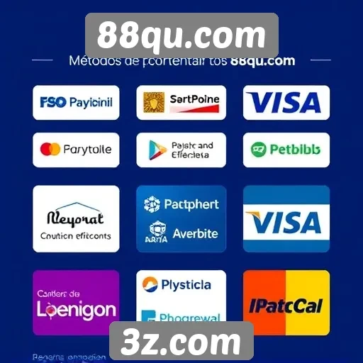 Estudo sobre métodos de pagamento aceitos no 88qu.com